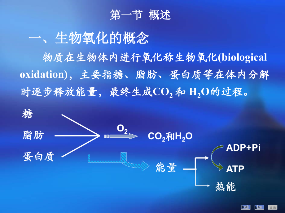 生物化学第八章生物氧化.ppt_第2页
