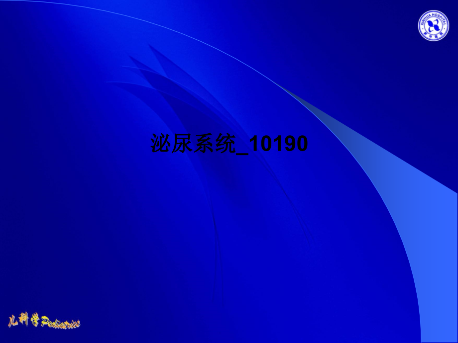 泌尿系统10190.ppt_第1页