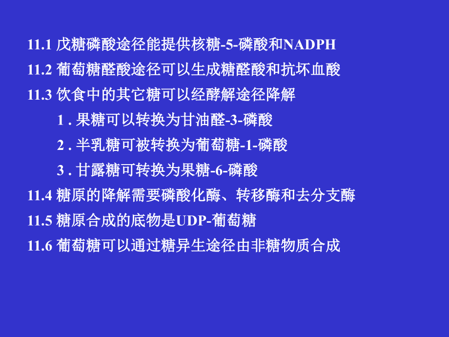 糖代谢中的其它途径.ppt_第2页