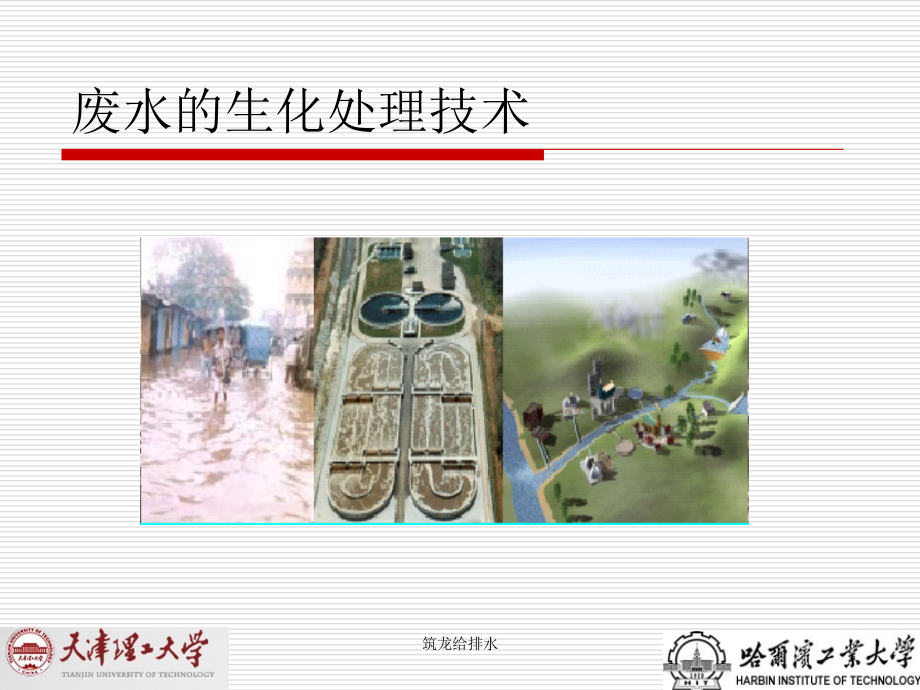 废水的生化处理技术.ppt_第1页