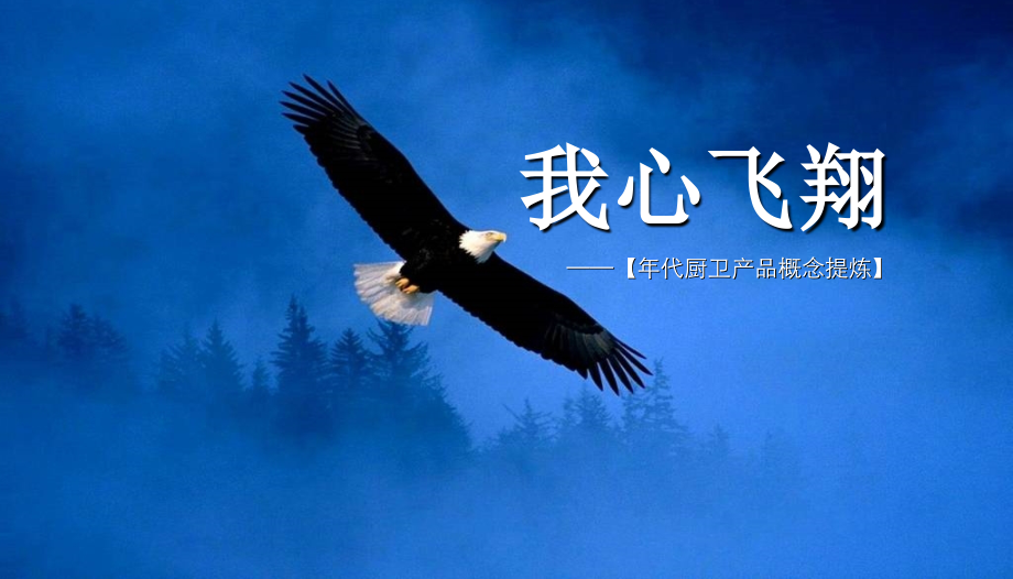 代厨卫产品概念提炼.ppt_第1页