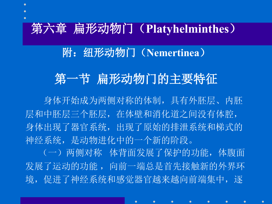 第六章扁形动物门和纽形动物门.ppt_第1页
