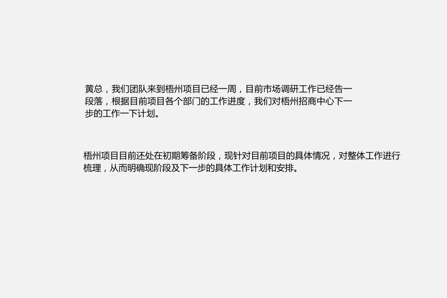 梧州毅德商贸城整体工作梳理-46P.ppt_第2页