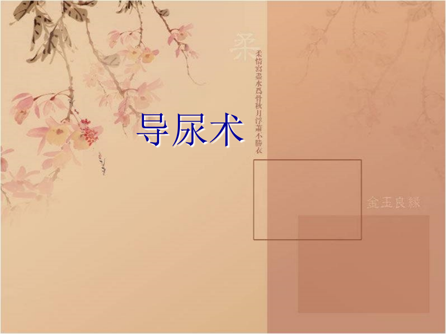 导尿术张倩.ppt_第1页