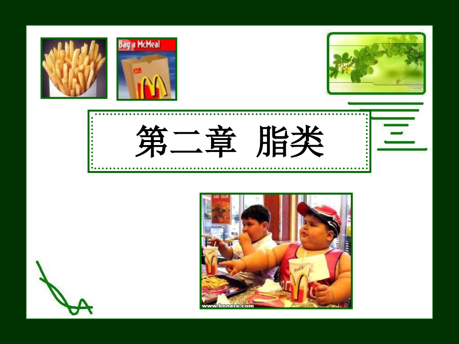 生物化学——脂类.ppt_第1页