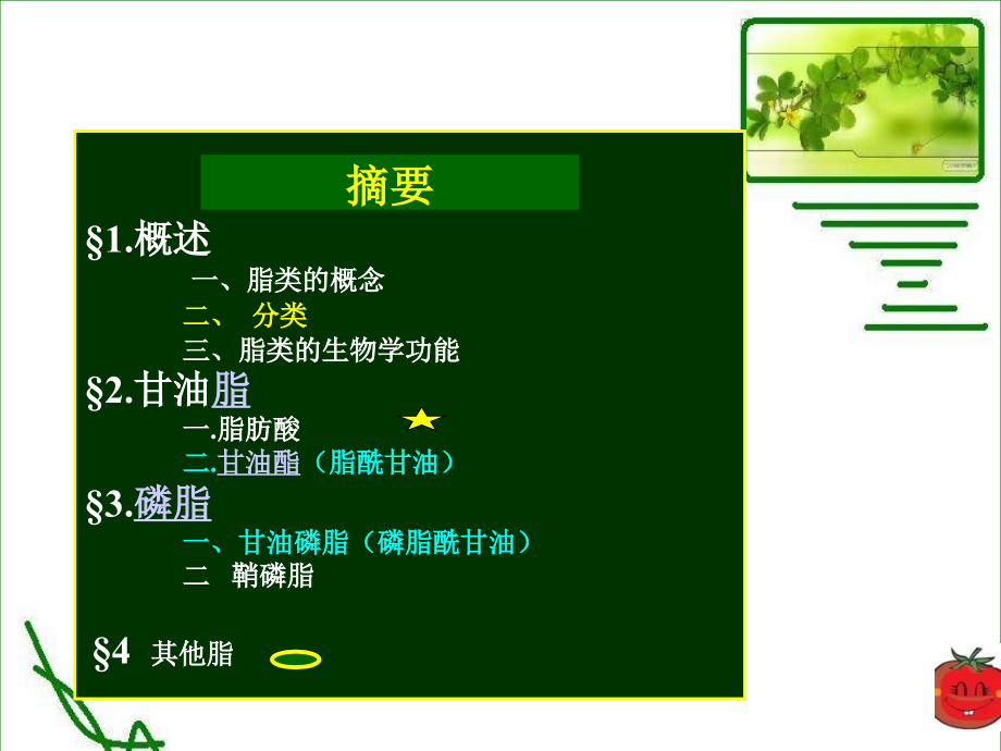 生物化学——脂类.ppt_第2页