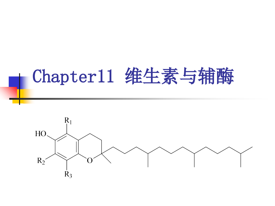 第11章维生素与辅酶.ppt_第1页