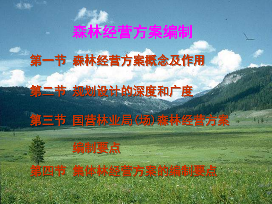 森林资源经营管理.ppt_第2页