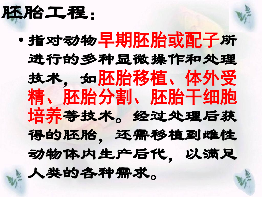 专题3ding体内受精和早期胚胎发育.ppt_第2页