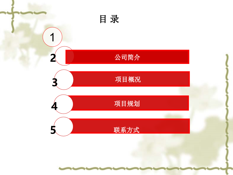 安徽池州大唐国际购物广场项目简介(31页).ppt_第2页