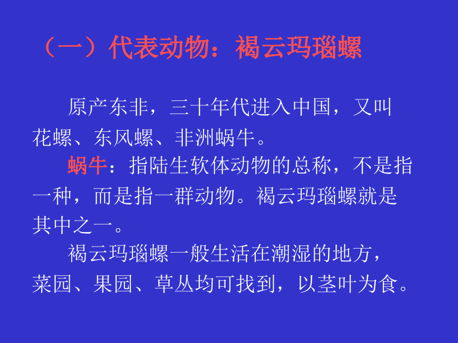 水生生物学腹足纲.ppt_第2页