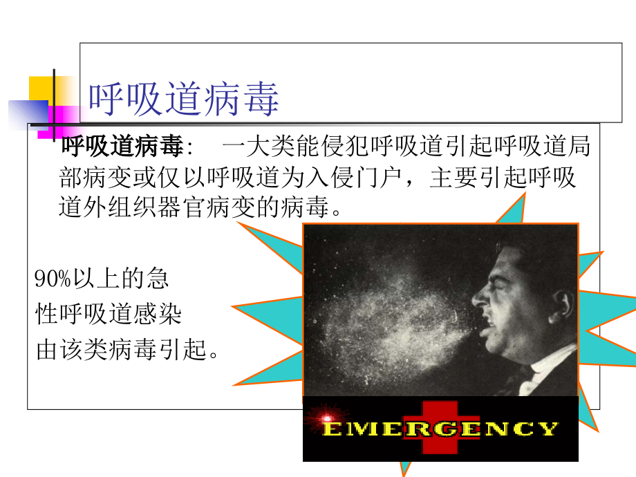 第26章+呼吸感染道病毒.ppt_第2页