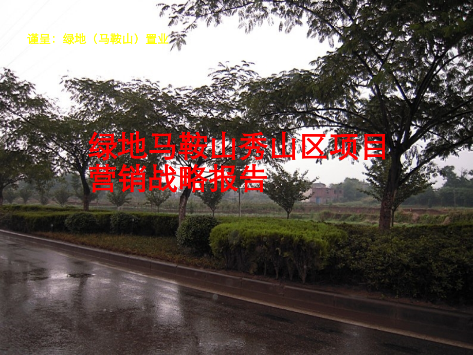 绿地马鞍山秀山区项目营销战略报告94P.ppt_第1页