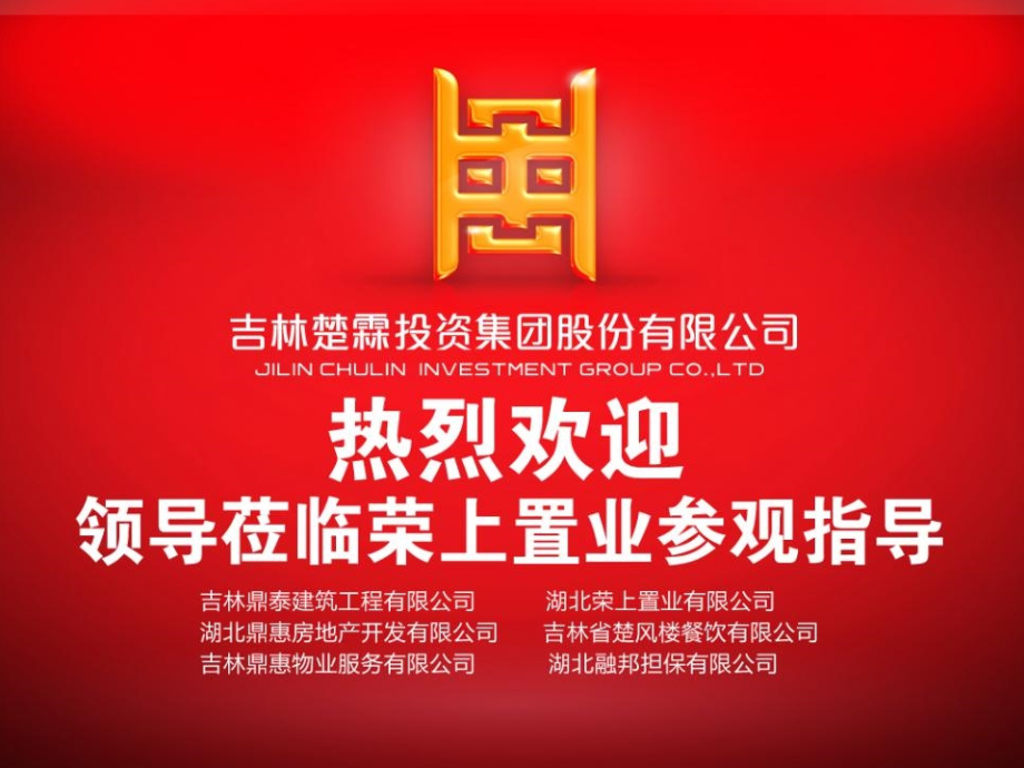 楚霖集团项目汇报正式版.pptx_第1页