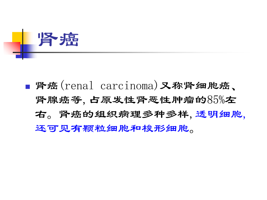 泌尿系肿瘤zppt.ppt_第2页