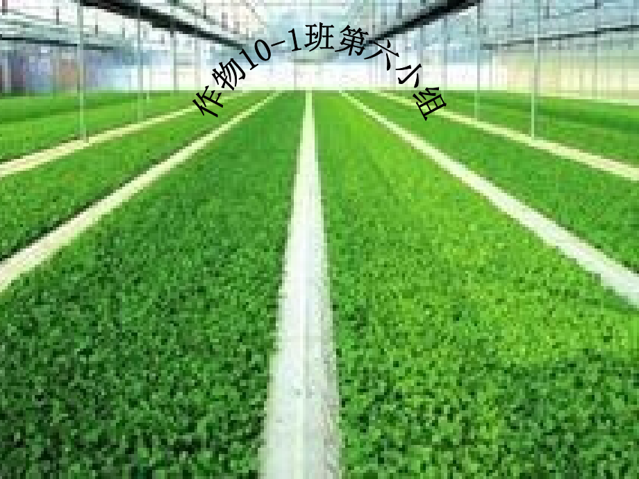 第六小组农业推广.ppt_第1页