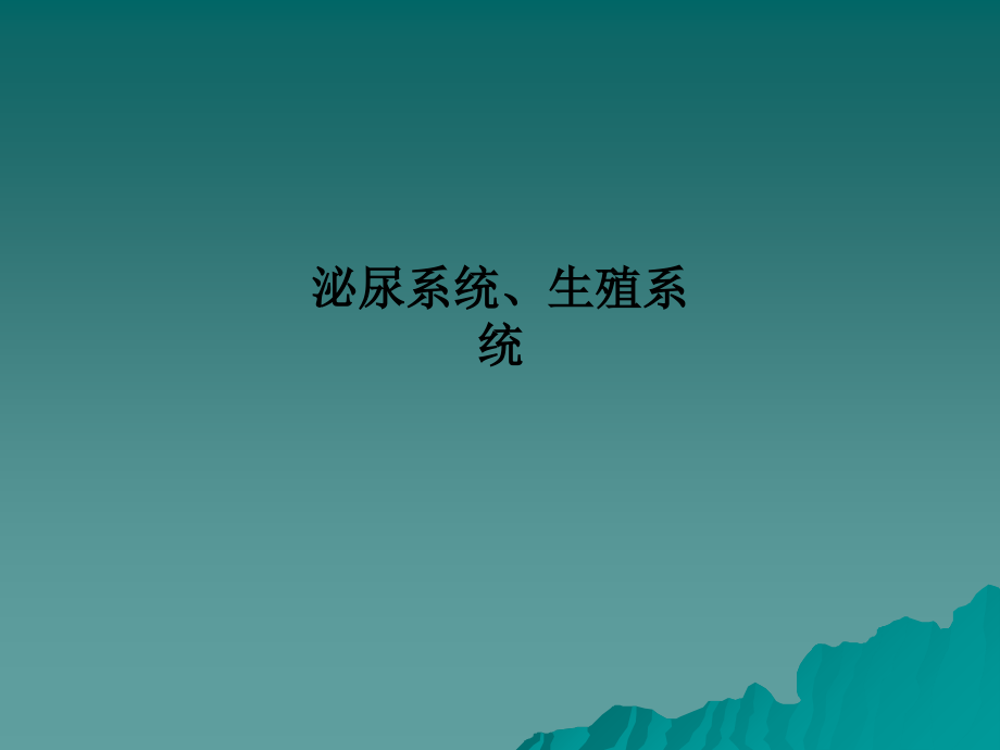泌尿系统、生殖系统.ppt_第1页