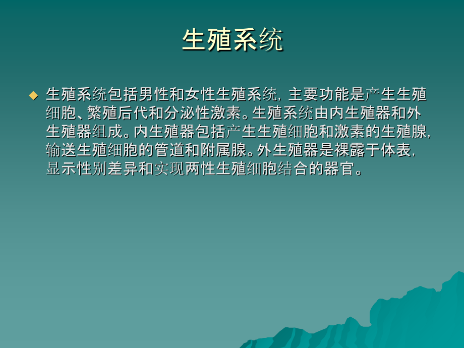 泌尿系统、生殖系统.ppt_第2页