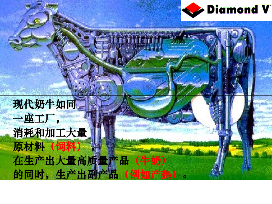 减少奶牛热应激负效应的日粮调整措施.ppt_第2页