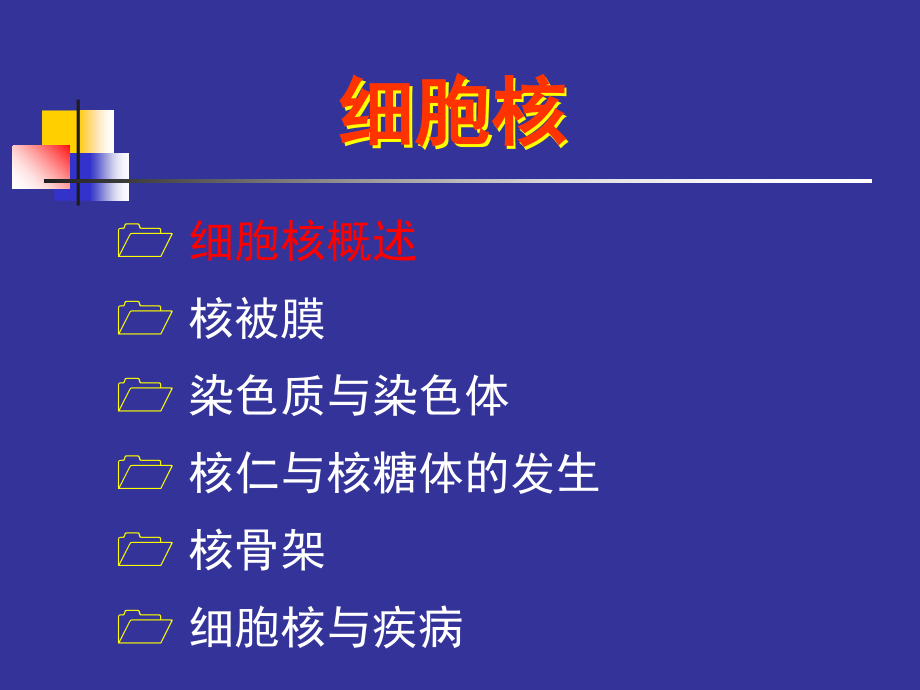 医学细胞生物学第八章细胞核和染色体.ppt_第2页