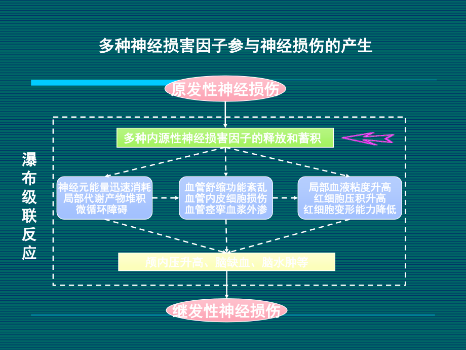 纳美芬EVO-II.ppt_第2页