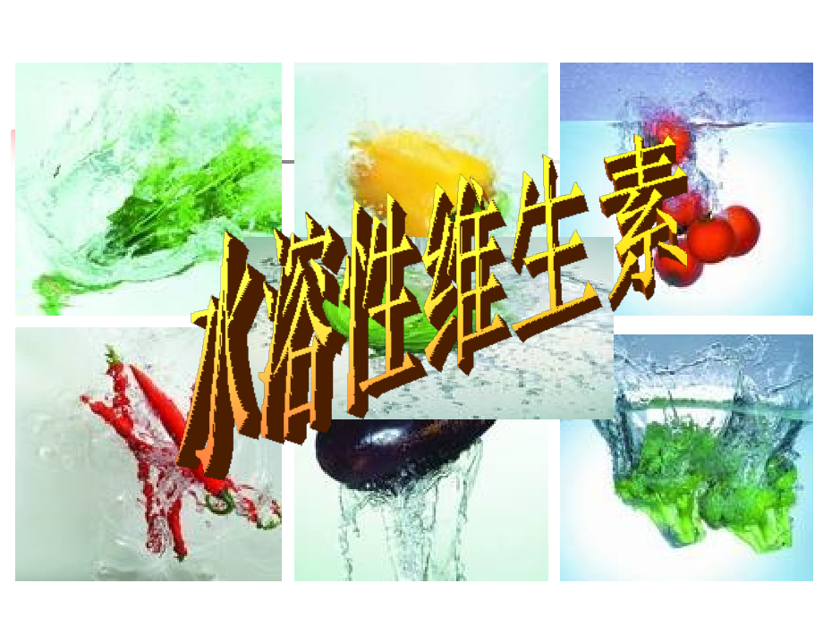 水溶性维生素12748.ppt_第2页