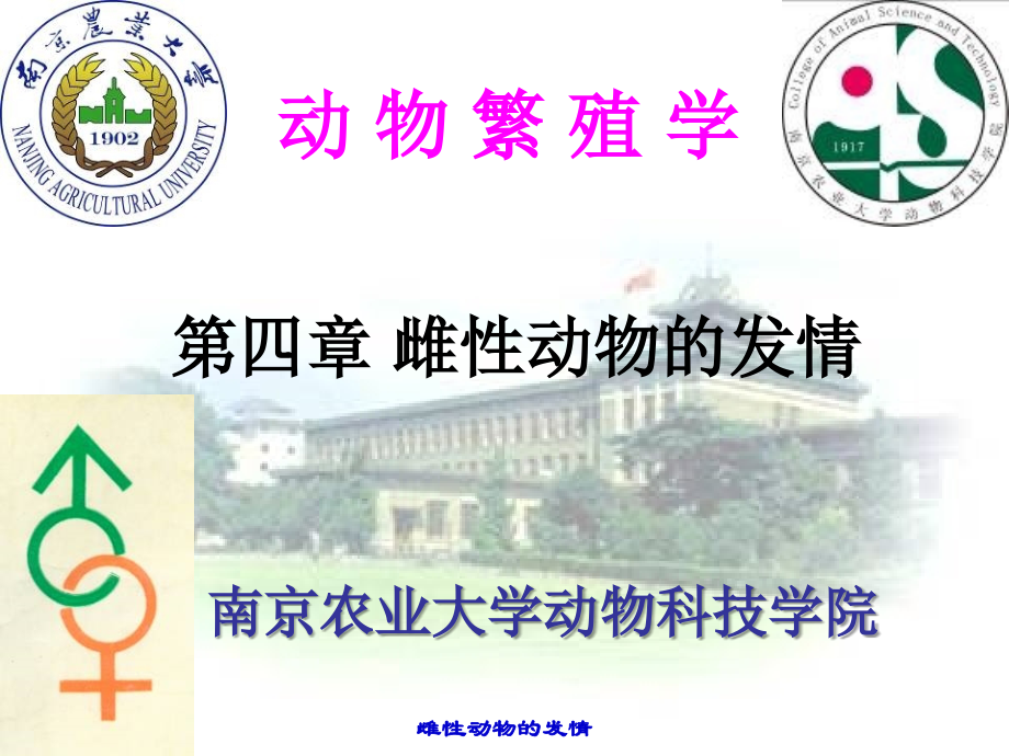 南农动物繁殖学第四章.ppt_第1页