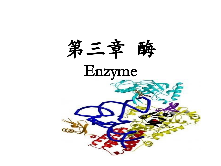 生物化学-第二章-酶1.ppt_第1页