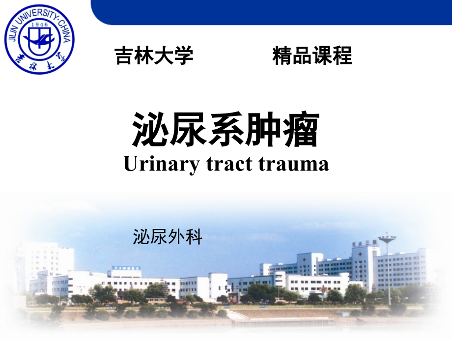 泌尿系肿瘤11725.ppt_第2页