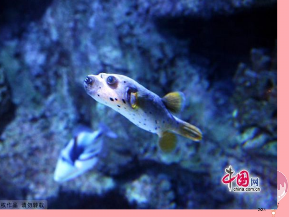 五年级语文上册第二单元我没有钓到那条鱼教案省公开课一等奖新名师优质课获奖PPT课件.pptx_第2页