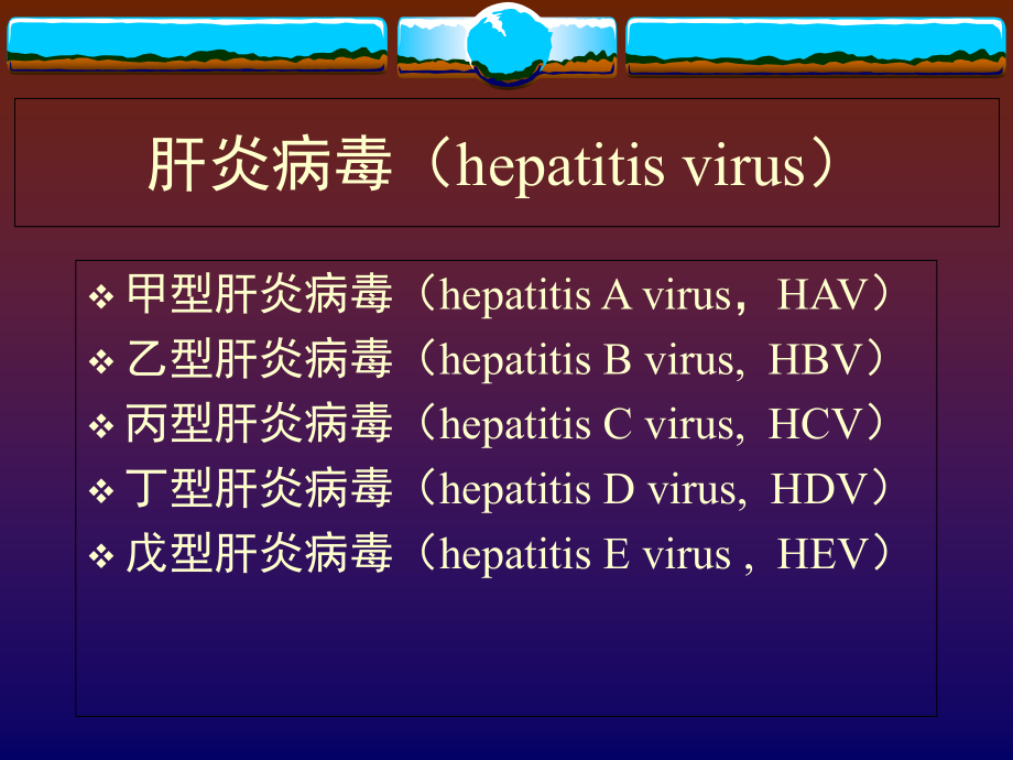 第29章+肝炎病毒.ppt_第2页