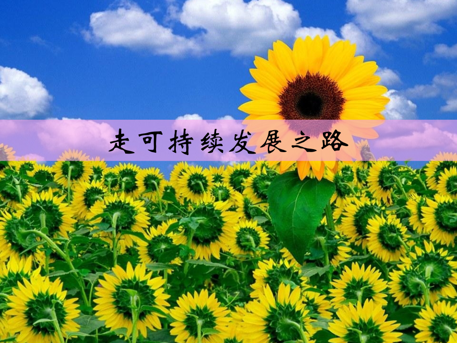 四、可持续发展.ppt_第1页