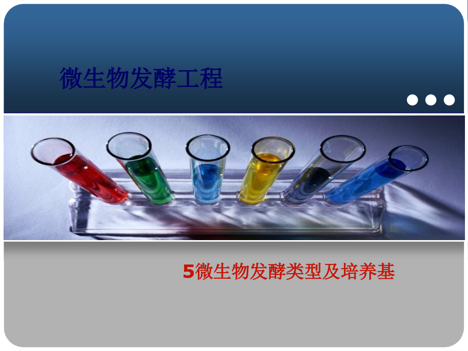 发酵工程.ppt_第1页