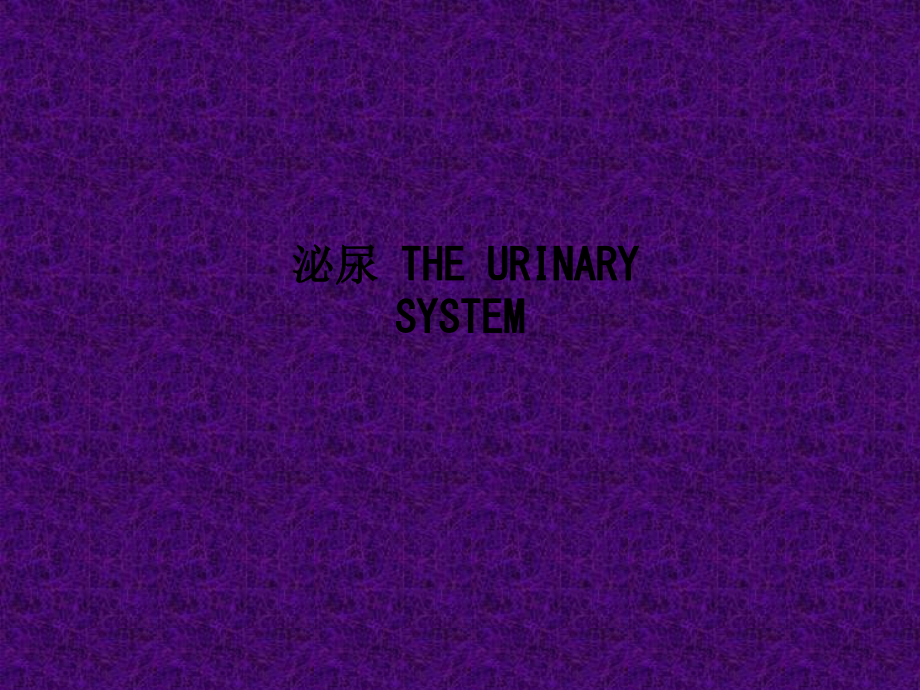 泌尿-THE-URINARY-SYSTEM.ppt_第1页