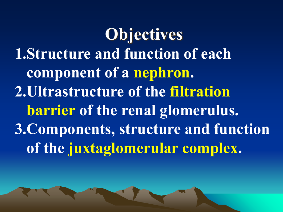 泌尿系统A10643.ppt_第2页