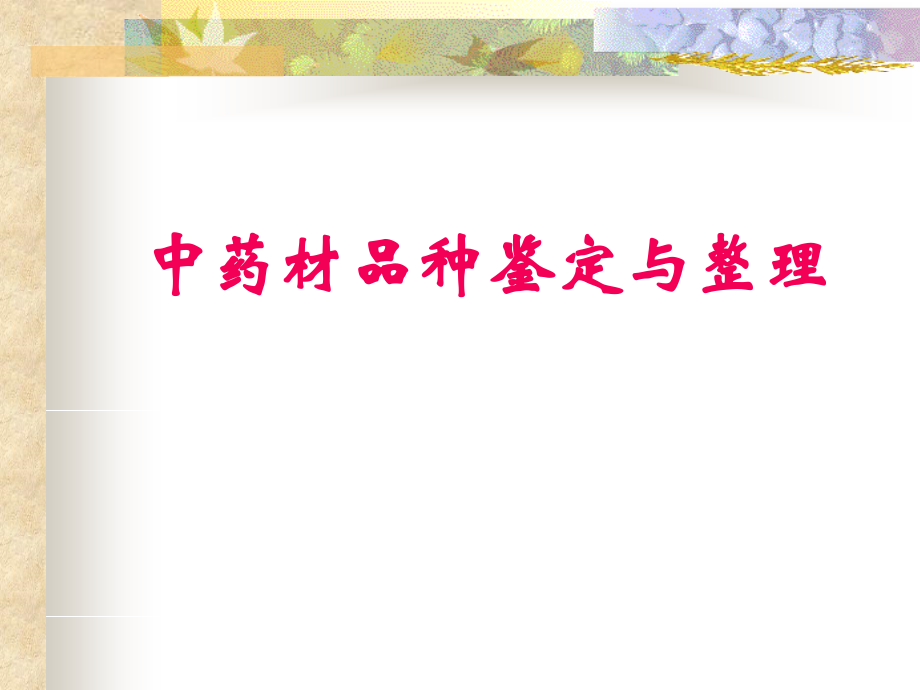 中药材品种鉴定与整理.ppt_第1页