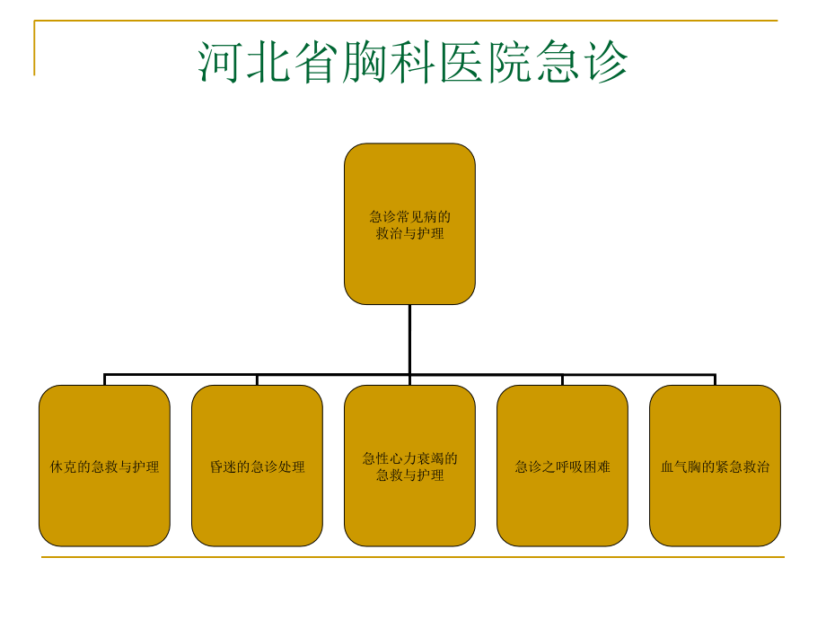 急诊的急救与护理.ppt_第2页