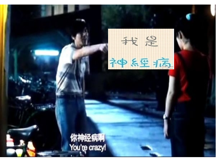 精神病学概述1.ppt_第2页