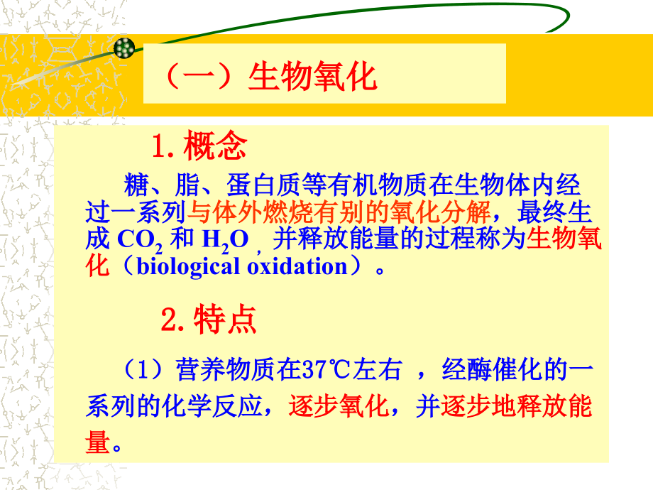 生物氧化(2).ppt_第2页