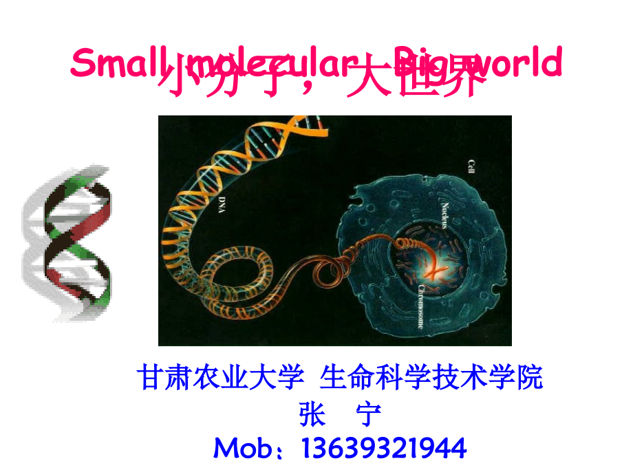 农大附中生命科学讲座-simple.ppt_第1页