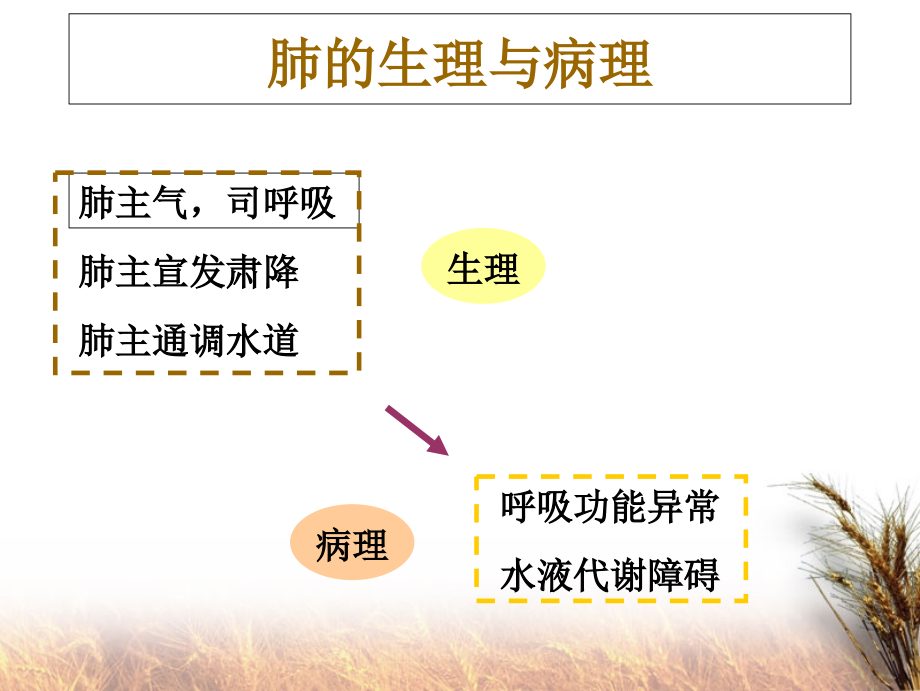 中医诊断学课件-肺与大肠病辨证.ppt_第1页