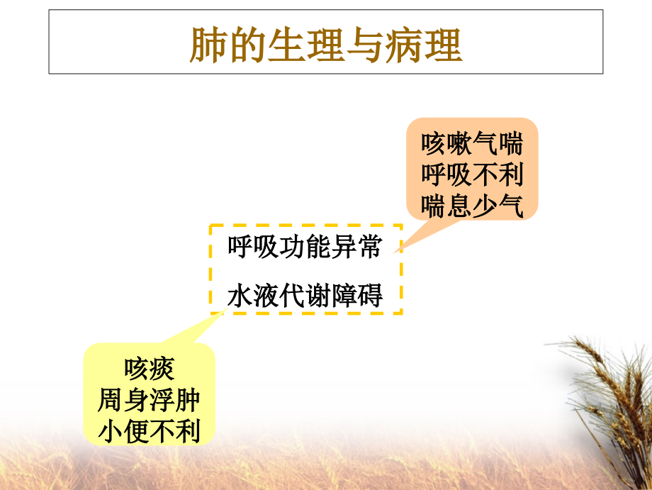 中医诊断学课件-肺与大肠病辨证.ppt_第2页