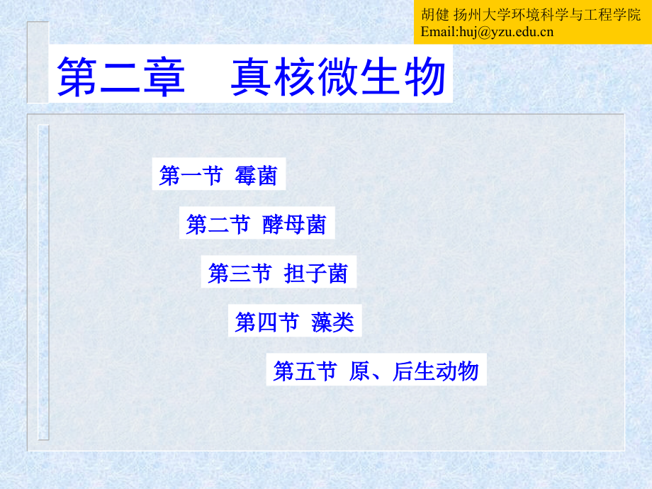农业微生物第二章真核微生物.ppt_第1页