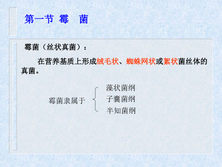 农业微生物第二章真核微生物.ppt_第2页