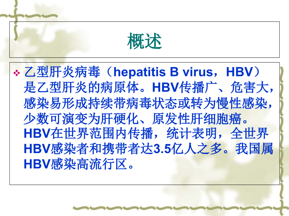 乙肝五项解读.ppt_第2页
