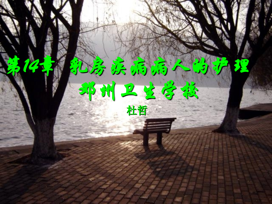 外科护理学第14章乳房疾病病人的护理.ppt_第1页