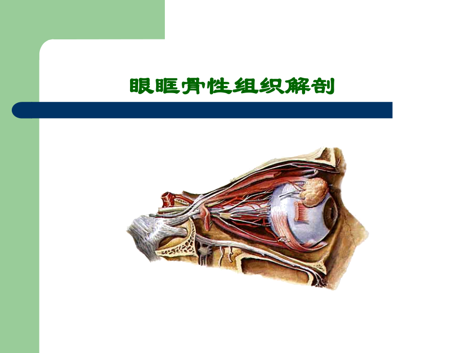 眼眶骨性解剖及临床优质PPT课件.ppt_第2页