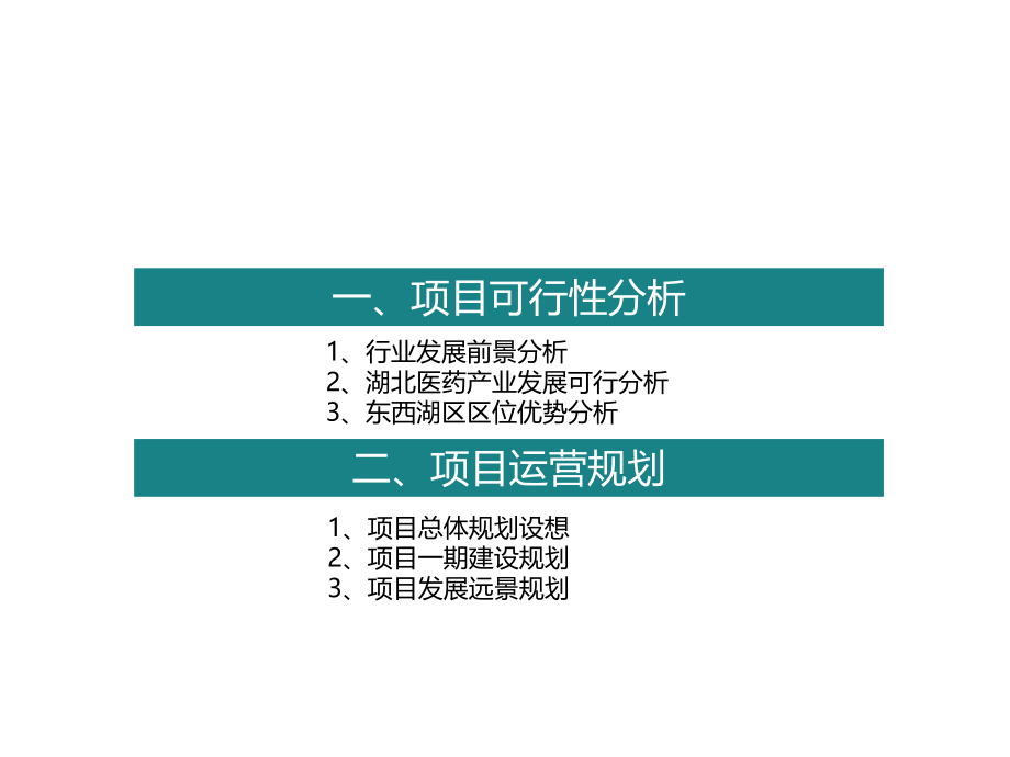 武汉国际健康产业园项目运营规划前期策划.ppt_第1页