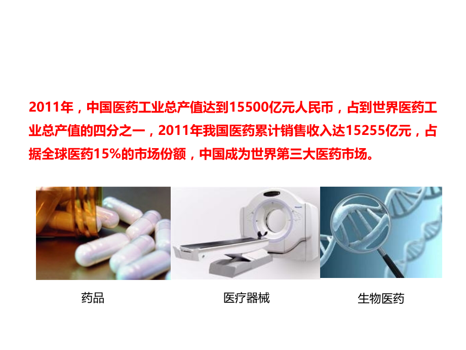 武汉国际健康产业园项目运营规划前期策划.ppt_第2页