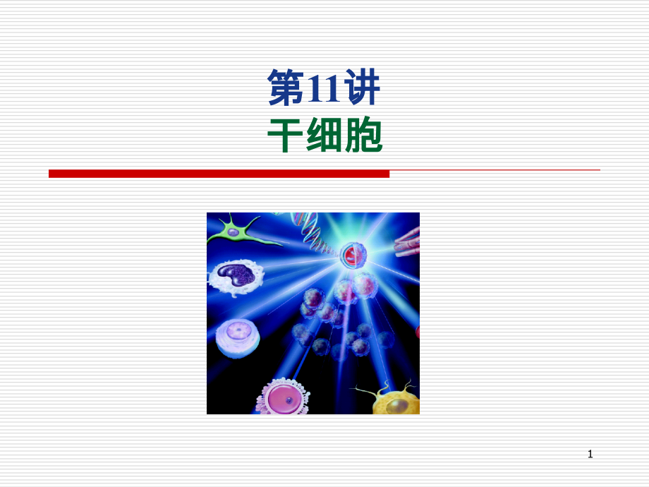 干细胞简版.ppt_第1页